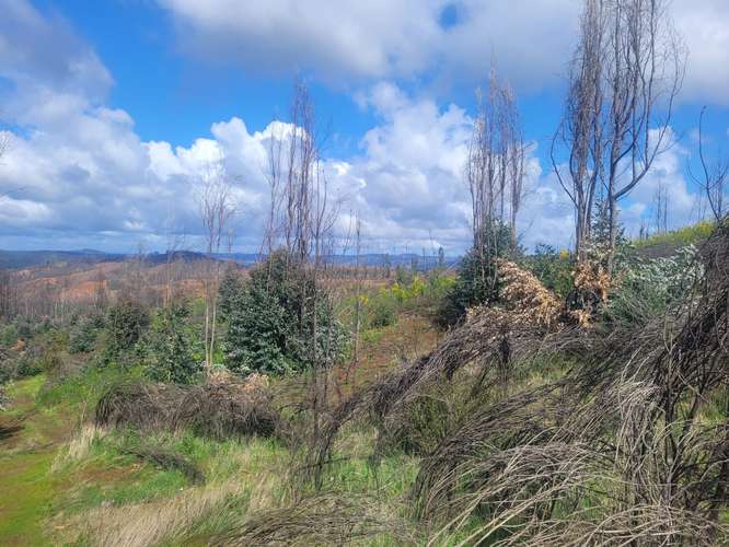 Loteos  a 15 km de Concepción, sector Juan Chico