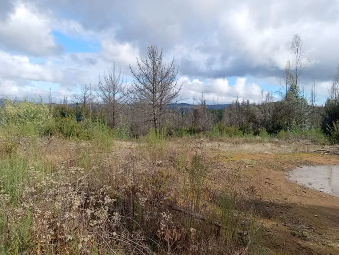 Vendo lotes rol propio a 15 km de Concepción