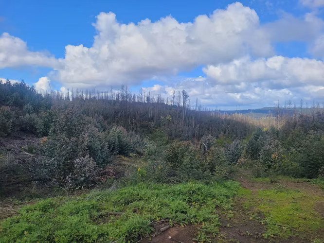 Vendo lotes rol propio a 15 km de Concepción