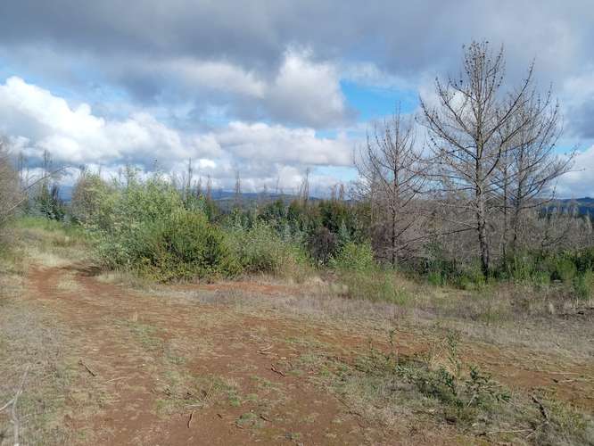 Loteos  a 15 km de Concepción, sector Juan Chico