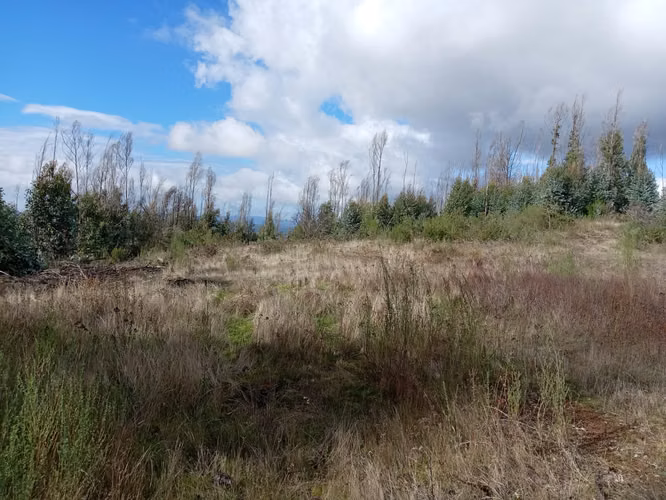 Vendo lotes rol propio a 15 km de Concepción