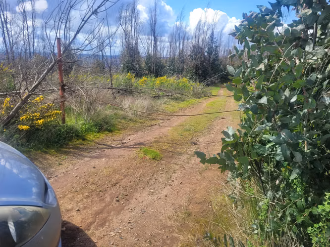 Loteos  a 15 km de Concepción, sector Juan Chico