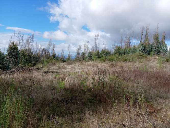 Loteos  a 15 km de Concepción, sector Juan Chico