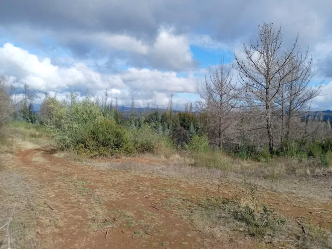 Vendo lotes rol propio a 15 km de Concepción - Imagen 9