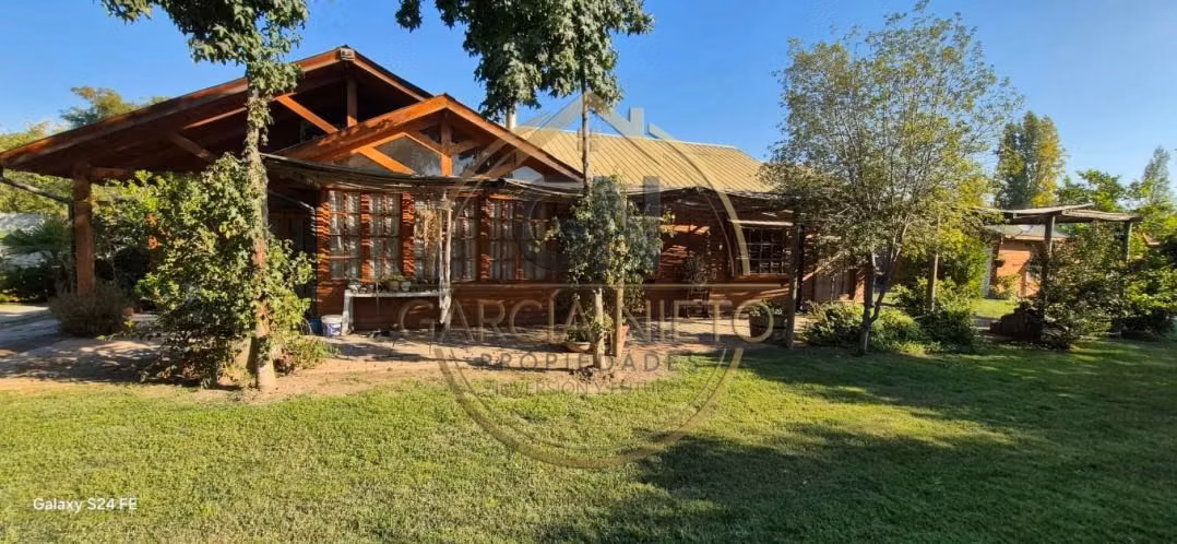 OLIVAR A 15 MINUTOS DE RANCAGUA (147831)