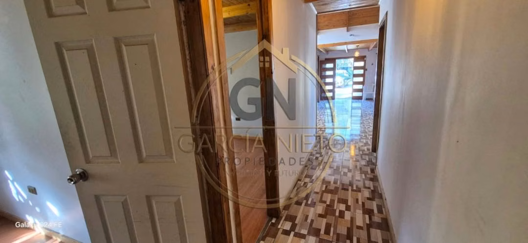 OLIVAR A 15 MINUTOS DE RANCAGUA (147831)