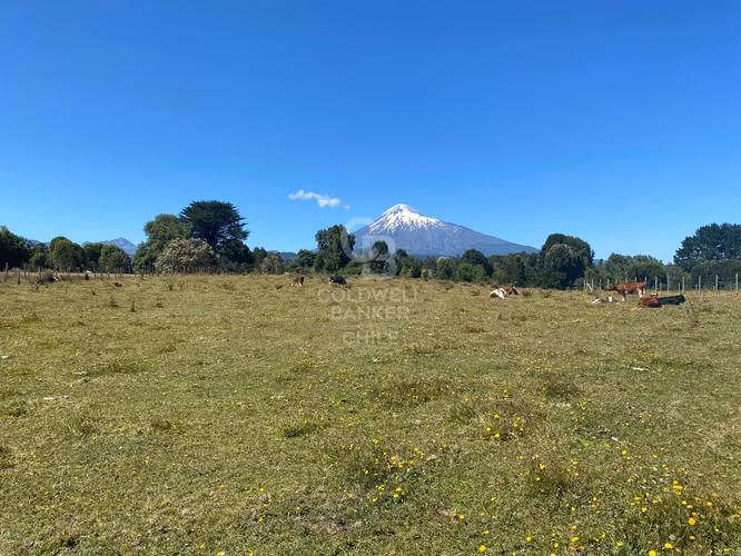 Conectividad y Tranquilidad  Puerto Octay