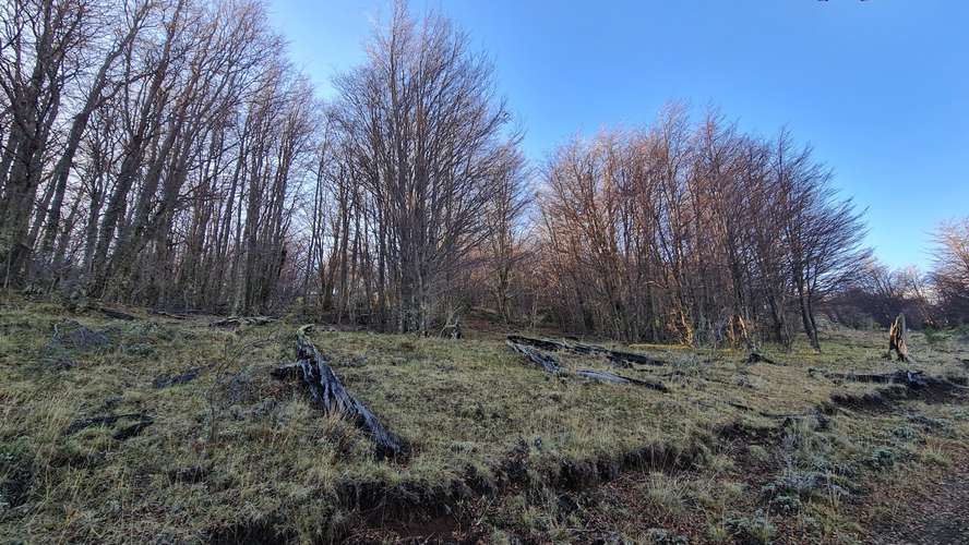 TERRENO DE 4 HA  A 10 KM DE VILLA CERRO CASTILLO - Imagen 10
