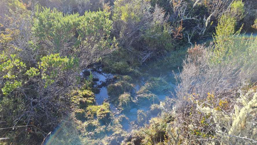 TERRENO DE 4 HA  A 10 KM DE VILLA CERRO CASTILLO - Imagen 8