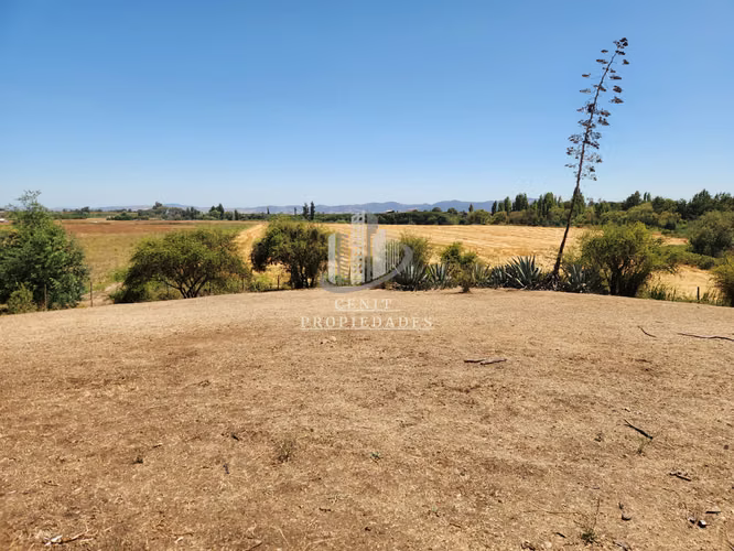 PARCELA EN VENTA PELARCO, 1,5 HECTAREAS