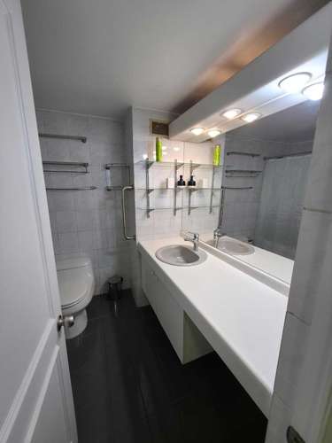 Arriendo Departamento Amoblado  (146834)