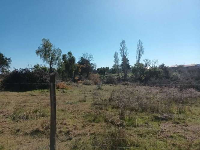 Se Vende Parcela 5.000 mt2, en Litueche  (148169) - Imagen 5