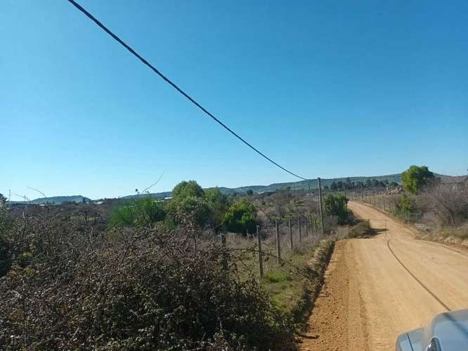 Se Vende Parcela 5.000 mt2, en Litueche  (148169) - Imagen 8