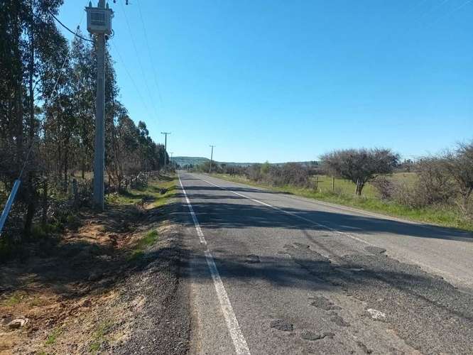 Se Vende Parcela 5.000 mt2, en Litueche  (148169) - Imagen 13