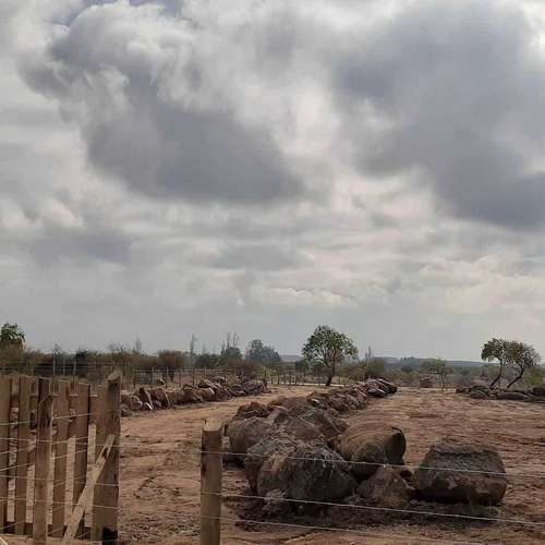 Se Vende Parcela 5.000 mt2, en Litueche  (148169) - Imagen 9