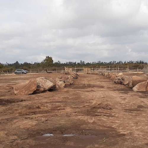 Se Vende Parcela 5.000 mt2, en Litueche  (148169) - Imagen 3
