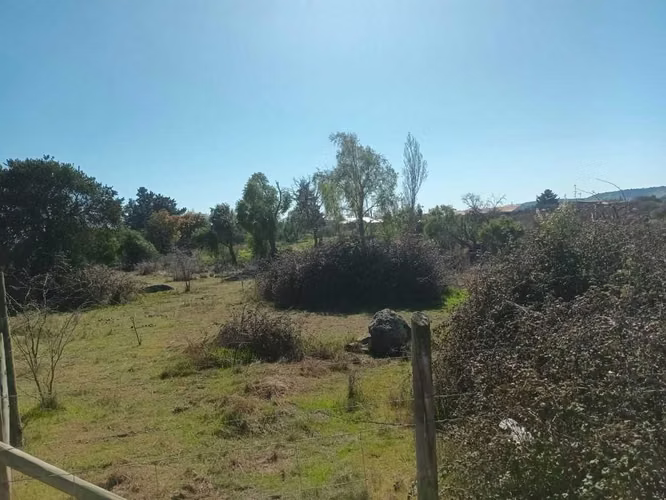 Se Vende Parcela 5.000 mt2, en Litueche  (148169)