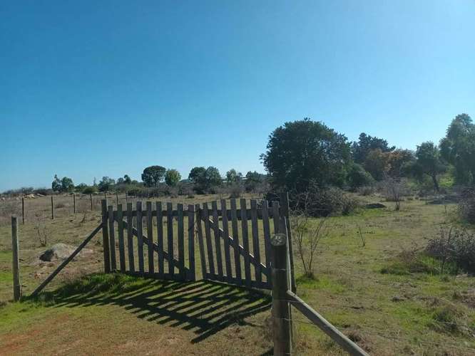 Se Vende Parcela 5.000 mt2, en Litueche  (148169) - Imagen 2