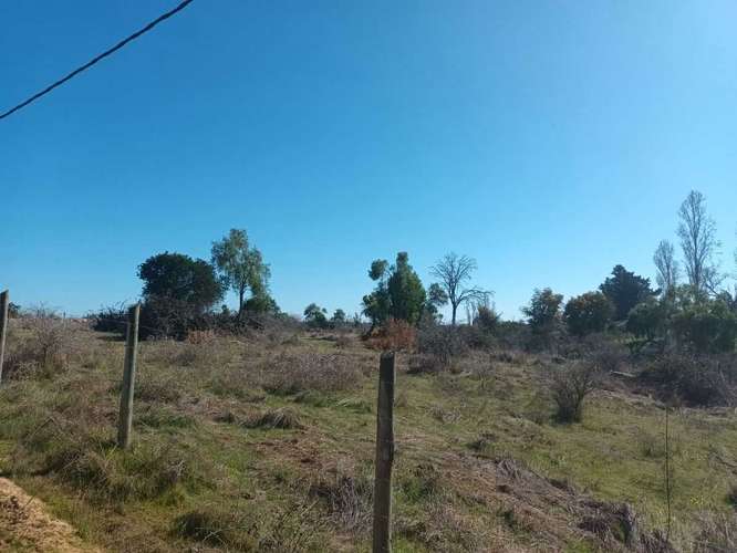 Se Vende Parcela 5.000 mt2, en Litueche  (148169) - Imagen 7