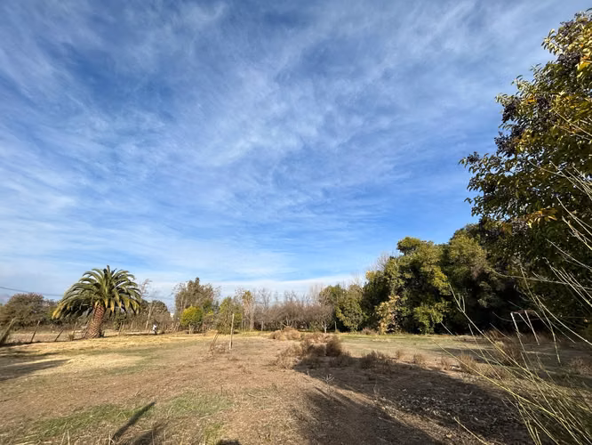 Terreno Agricola En San Felipe Curimón