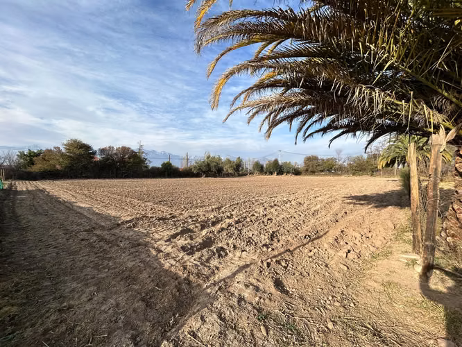 Terreno Agricola En San Felipe Curimón