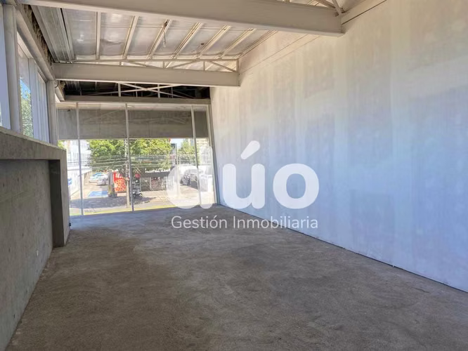 Oportunidad única: Local 237 m² Av. Alemania (148249)