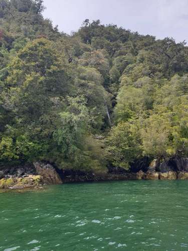 Oportunidad de inversión Aysén orilla mar (148351)