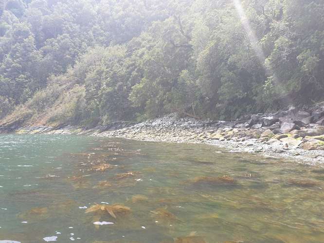 Oportunidad de inversión Aysén orilla mar (148351)