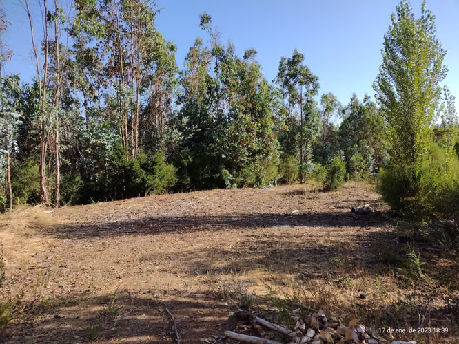 Parcela 1,89 ha Quebrada de Riffo, Florida