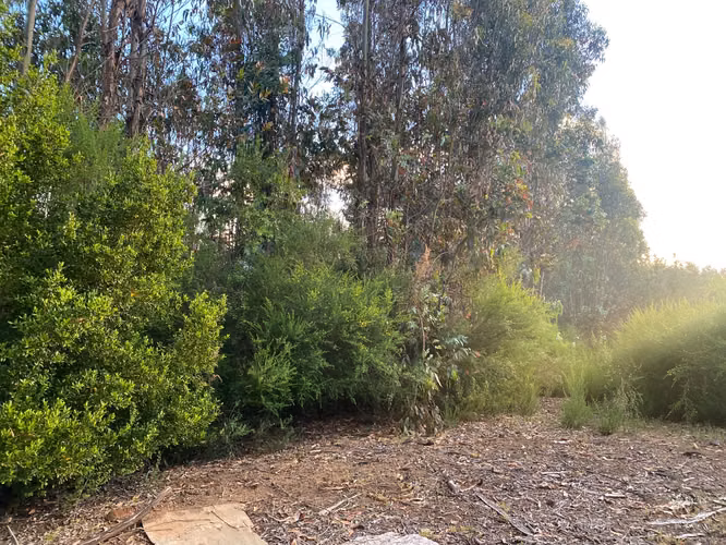 Parcela 1,89 ha Quebrada de Riffo, Florida