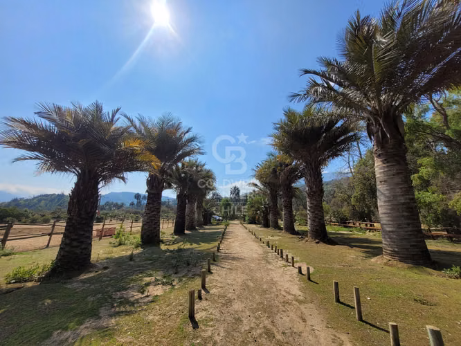 Parcela agrado Reserva Oasis de la Campana