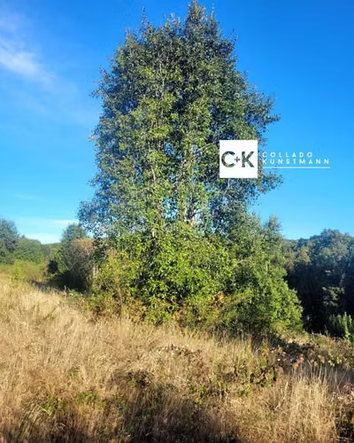 Inversión Segura en Terreno Bien Ubicado (148787) - Imagen 3
