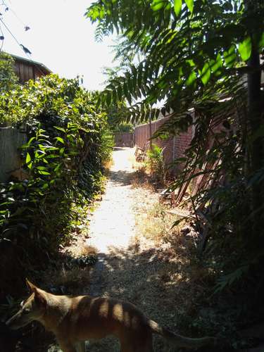 AMPLIA CASA 491 M2 , LA FLORIDA, STGO (148512)