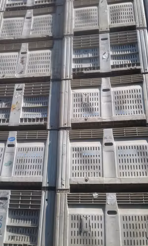 Vendo bins plásticos ventilados