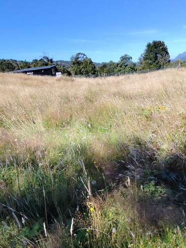 Parcela 5000 m2 Puerto Varas  (149130) - Imagen 17