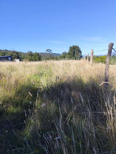 Parcela 5000 m2 Puerto Varas  (149130) - Imagen 6