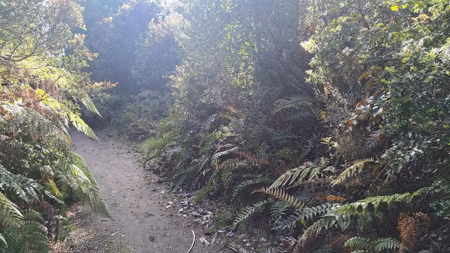 ¡HERMOSA PARCELA PLANA CON BOSQUE NATIVO Y RIACHUELO EN PUERTO VARAS!