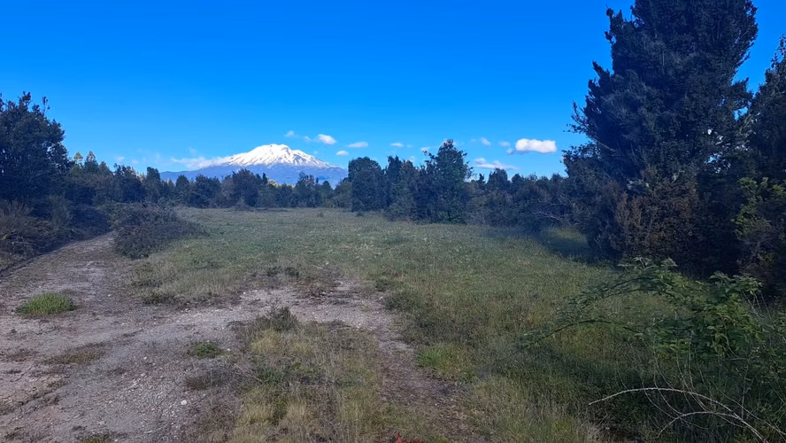 ¡HERMOSA PARCELA PLANA CON BOSQUE NATIVO Y RIACHUELO EN PUERTO VARAS!