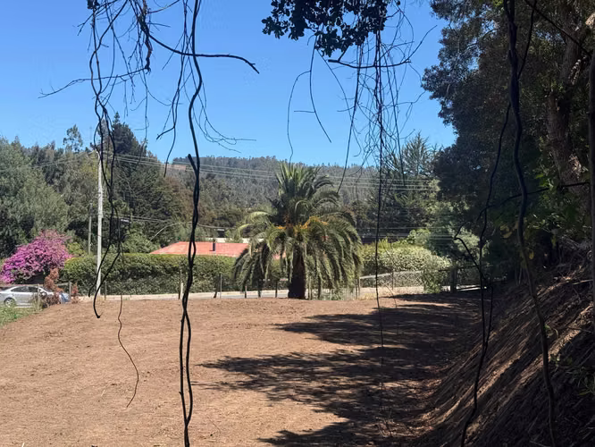 Espacio Amplio para Tus Proyectos (149009)