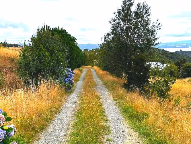 TE GUSTARIA SER PARTE DE ESTE HERMOSO PAISAJE... PARCELA CON LINDA CASAEN VENTA DALCAHUE, CHILOE - Imagen 22