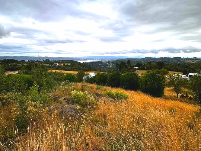 TE GUSTARIA SER PARTE DE ESTE HERMOSO PAISAJE... PARCELA CON LINDA CASAEN VENTA DALCAHUE, CHILOE - Imagen 15