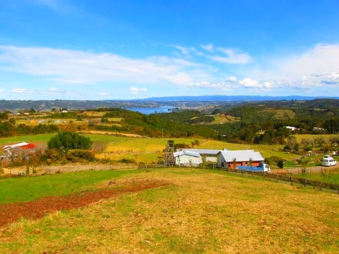 TE GUSTARIA SER PARTE DE ESTE HERMOSO PAISAJE... PARCELA CON LINDA CASAEN VENTA DALCAHUE, CHILOE - Imagen 17