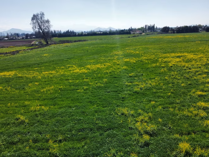 TERRENO de 11.000 m2 Aprox, en sector Agroindustrial, Alta Plusvalía, Privilegiada ubicación.