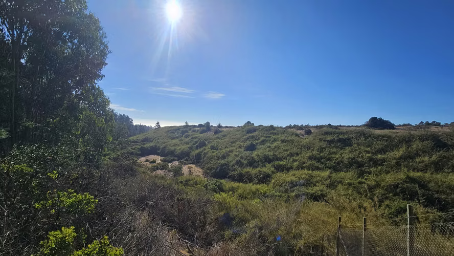 Maravillosa parcela con bosque y vista al mar en el horizonte