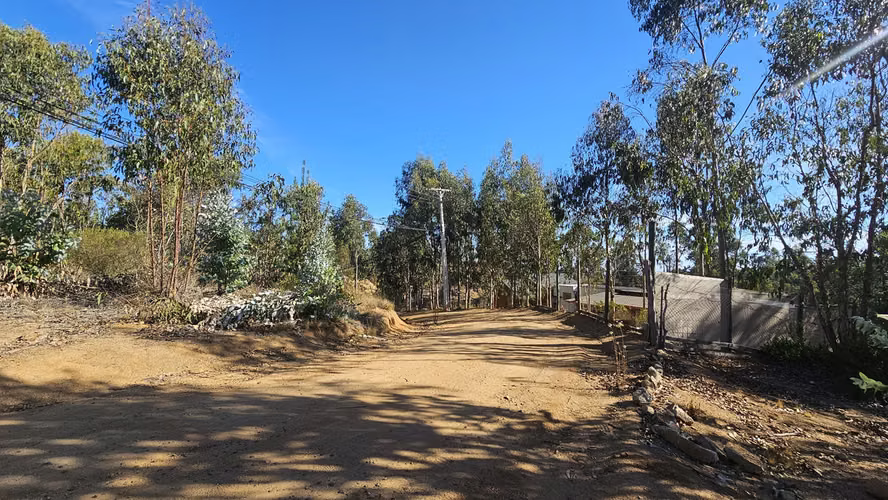 Maravillosa parcela con bosque y vista al mar en el horizonte