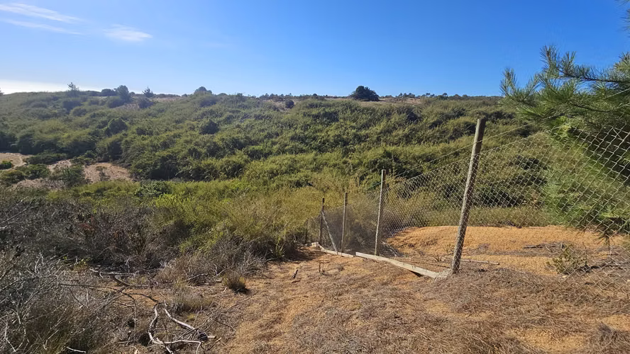 Maravillosa parcela con bosque y vista al mar en el horizonte