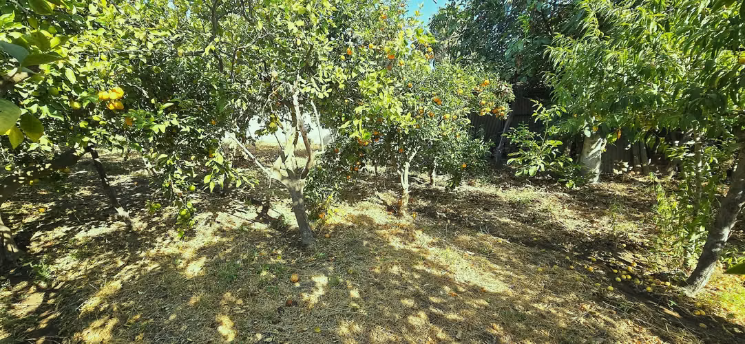 3.200 m2 más casa | Tranquilidad | Frente Rosa Agustina - Olmué