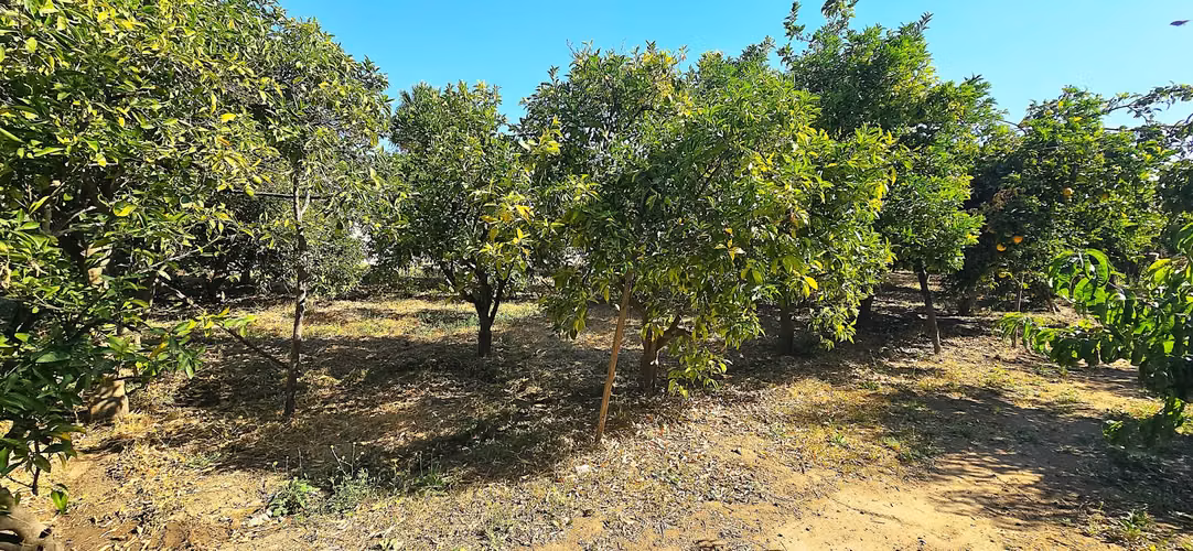 3.200 m2 más casa | Tranquilidad | Frente Rosa Agustina - Olmué
