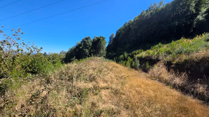 Parcela en venta en sector Santa Elvira, Valdivia