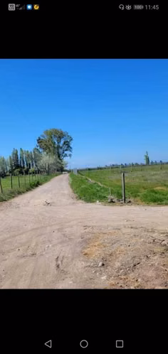 Parcela de Media hectárea, en Sector Santa Teresa